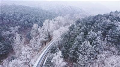 “中国视谷”“创客中国”双品牌赋能 杭州产业培育模式入选 “小微你好” 优秀服务案例